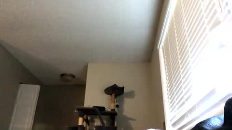 paigechantel online show from 02.19.26