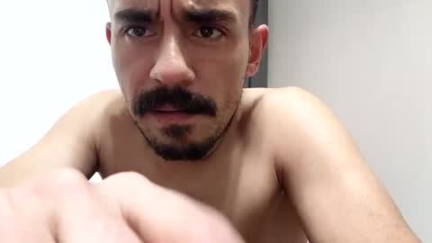   PALA online show from 01.08.26