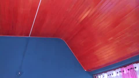 PALOMA 3 online show from 01.05.26