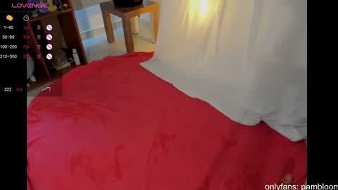     online show from 03.08.25