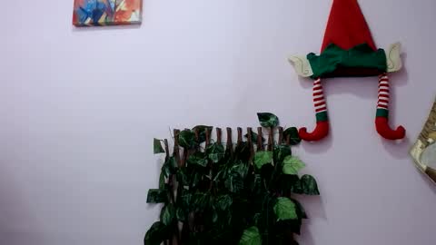 Pamela Claus online show from 12.30.24