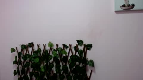 Pamela Claus online show from 01.30.25