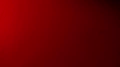  P A M  online show from 11.18.25