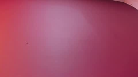  P A M  online show from 02.17.26