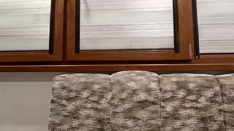 angel hris online show from 01.14.25