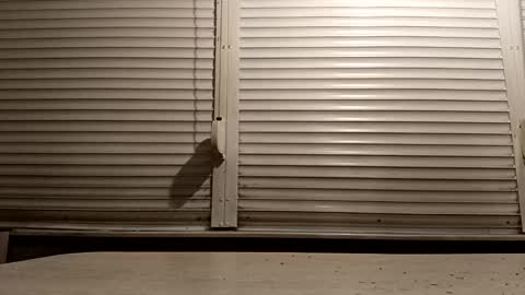 angel hris online show from 02.04.26