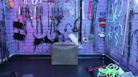 Snapshot of pandoranez chatting on 02.14.25 PandoraNez online show from 02.14.25