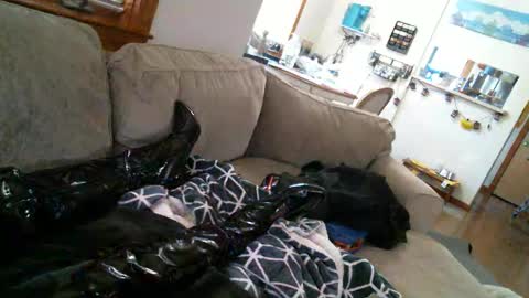 Pantyhoselover online show from 12.30.24