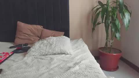 Paola Turner online show from 03.06.25