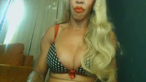 PAOLLA 23CM online show from 07.01.26