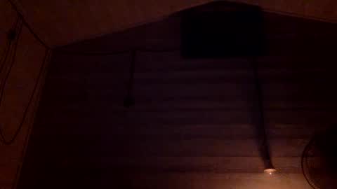 Pati24 online show from 01.05.25