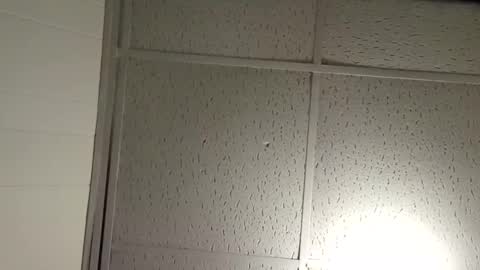 Snapshot of pato0008 chatting on 11.19.25 JD online show from 11.19.25