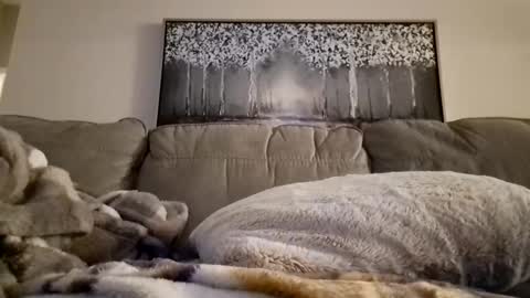 patrick247288 online show from 02.12.25