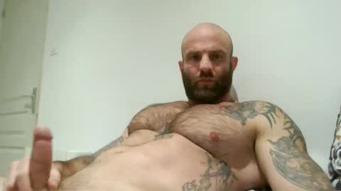 yo5064 online show from 03.19.26