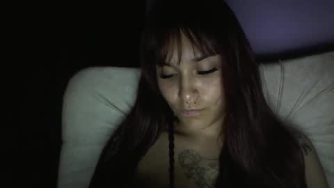 Snapshot of pau_cat chatting on 01.17.26 Pau online show from 01.17.26