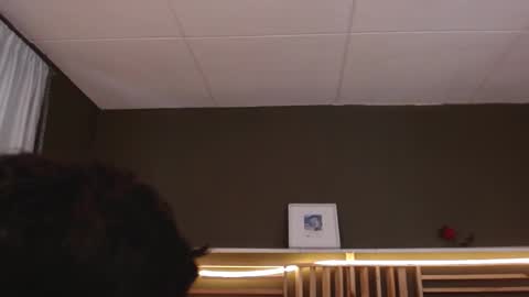 Paul online show from 11.13.25