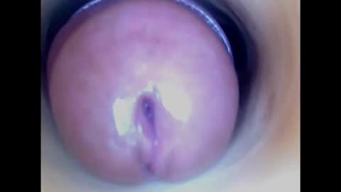 Paula 18 Aninhos online show from 02.08.25