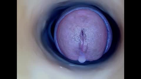 Paula 18 Aninhos online show from 02.08.25