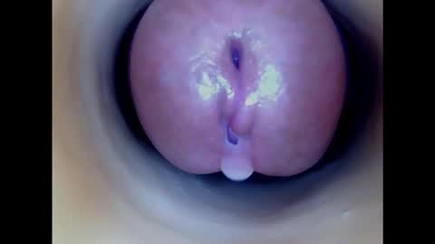 Paula 18 Aninhos online show from 02.08.25