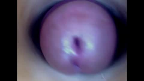 Paula 18 Aninhos online show from 02.11.25