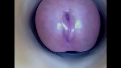 Paula 18 Aninhos online show from 02.12.25