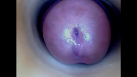 Paula 18 Aninhos online show from 02.14.25