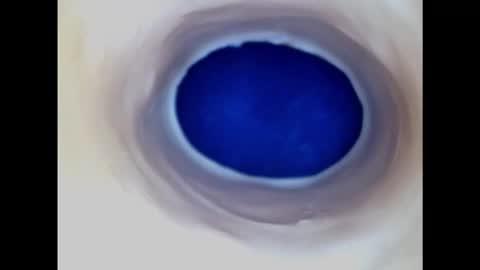 Paula 18 Aninhos online show from 02.20.25