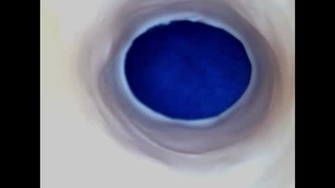 Paula 18 Aninhos online show from 02.22.25