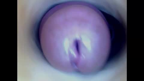 Paula 18 Aninhos online show from 02.23.25