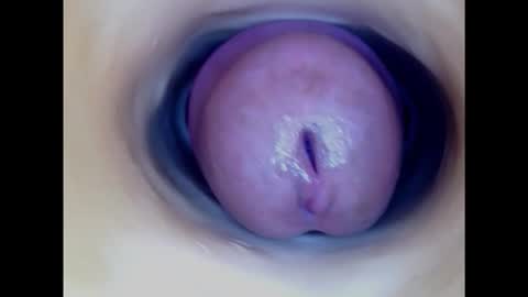 Paula 18 Aninhos online show from 03.02.25