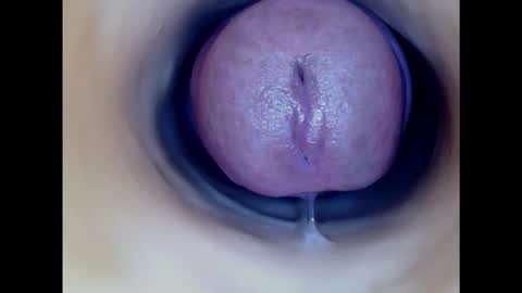 Paula 18 Aninhos online show from 11.05.25