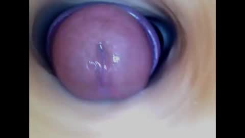 Paula 18 Aninhos online show from 01.07.26