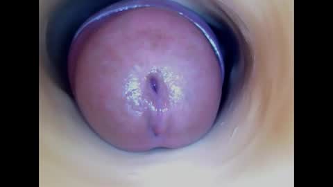 Paula 18 Aninhos online show from 04.01.26