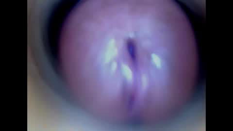 Paula 18 Aninhos online show from 04.05.26