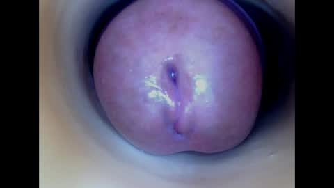 Paula 18 Aninhos online show from 04.05.26