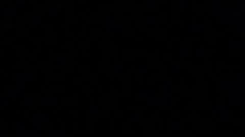 Paul online show from 04.20.26