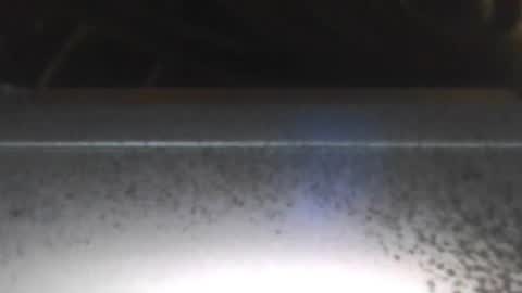 paulstetson online show from 12.26.24