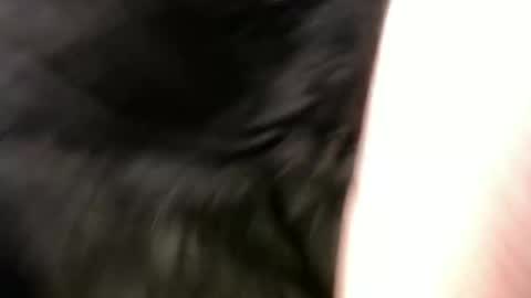 pauly online show from 01.01.25