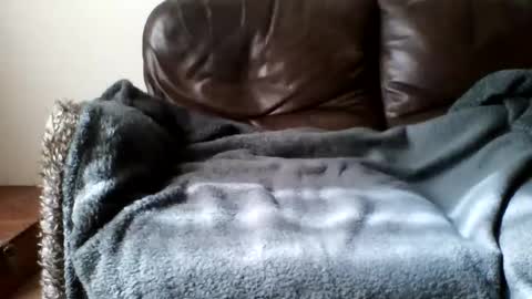 paurlien online show from 03.21.26