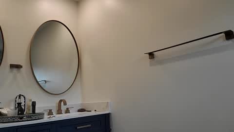 Pavone splash online show from 12.01.25