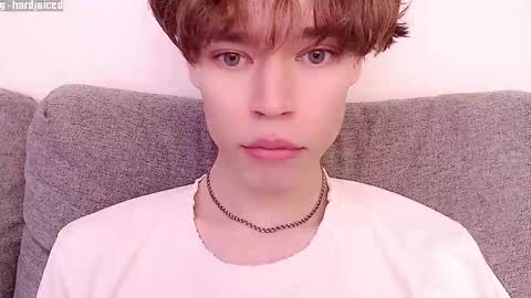 pawclaw online show from 10.12.25