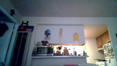 pawgkiller online show from 10.11.25