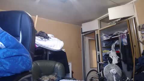 Snapshot of pc8474408 chatting on 03.01.26 pc8474408 online show from 03.01.26