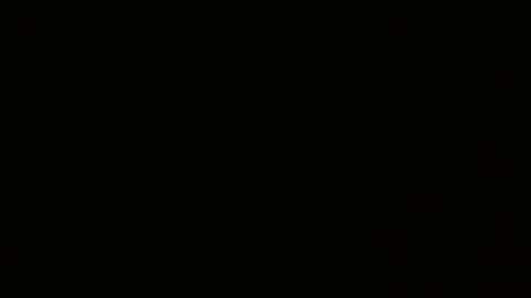 pearlatin online show from 01.22.25