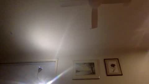 pedro________8 online show from 12.17.24