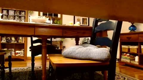 peecocktail online show from 10.13.25