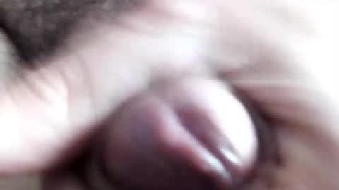 peiboluna online show from 02.11.25