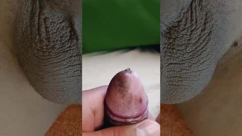 Penils online show from 03.03.26