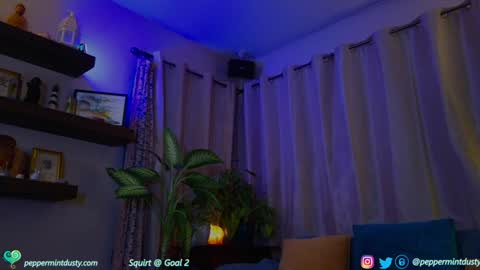 Snapshot of peppermintdusty chatting on 12.19.24 Peppermint and Dusty online show from 12.19.24