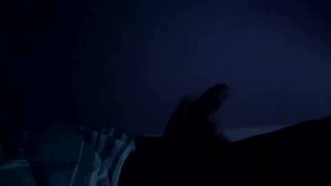 Snapshot of perfect427482577143 chatting on 02.26.26 perfect427482577143 online show from 02.26.26